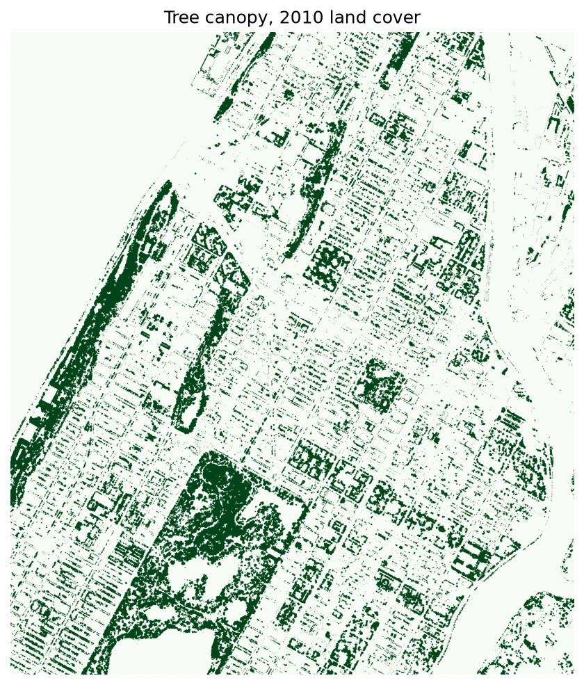 canopy raster